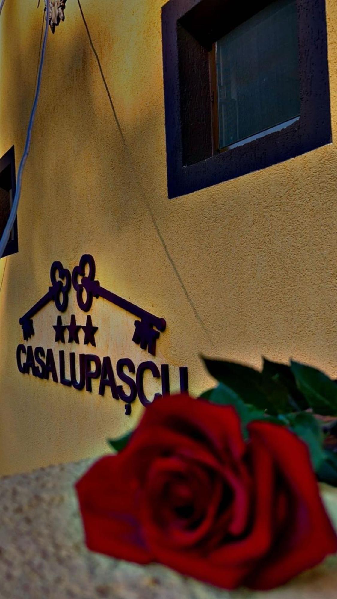 Casa Lupascu Hotel Vatra Dornei Exterior foto