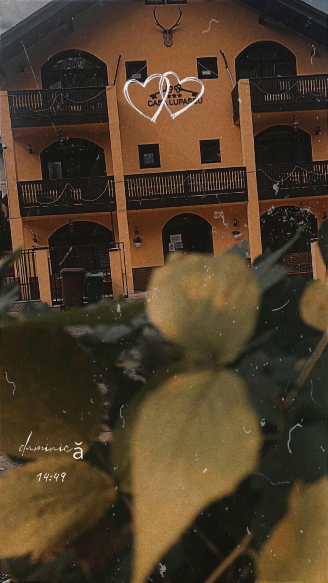 Casa Lupascu Hotel Vatra Dornei Exterior foto